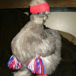 Meet your Posher, Kaillym